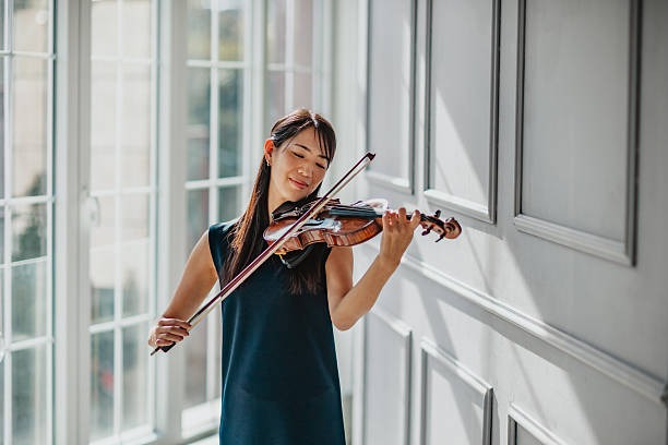 Violin Bows Made Of What Materials and How Do They Affect Performance?