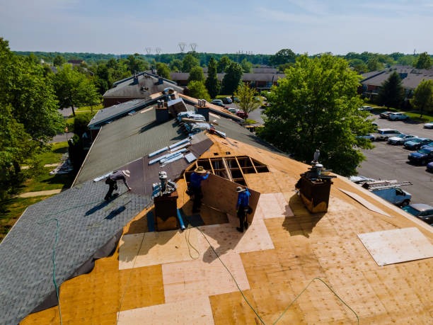 Discover Efficient Roofing Contractor Solutions for Roof Replacement Projects
