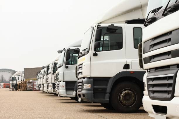 Experienced CSA Transportation Toronto Experts for Safe Delivery